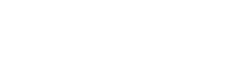insinio
